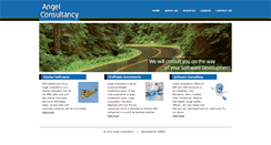 Desktop Screenshot of angelconsultancy.in