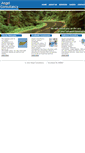 Mobile Screenshot of angelconsultancy.in