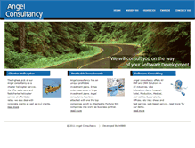 Tablet Screenshot of angelconsultancy.in